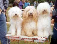 Enigma Erbos, Cchepagme Bodjul, Corra Erbos